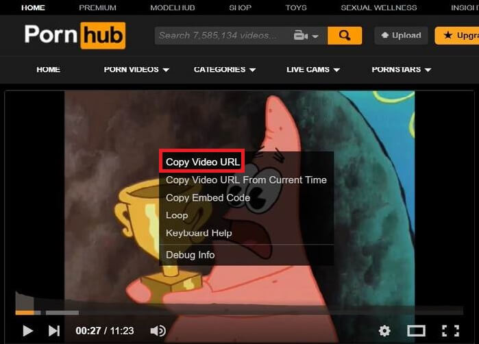 how to download pornhub videos
