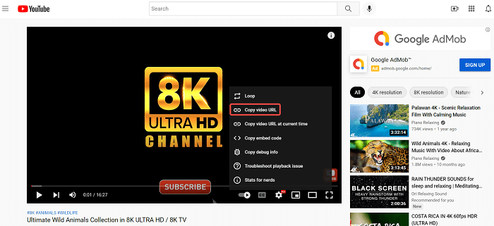 Copy 4K YouTube Video URL