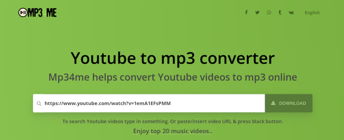 MP3Studio YouTube Downloader 2.0.25.3 instal the last version for iphone