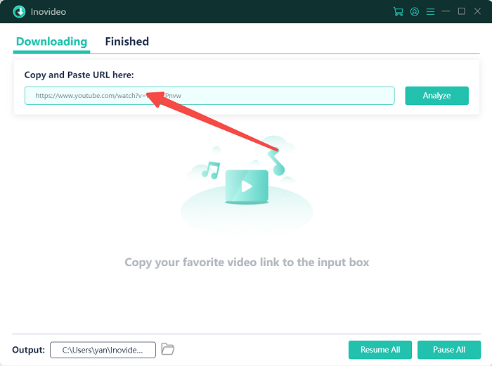 Fügen Sie Video -URL in Inovideo ein